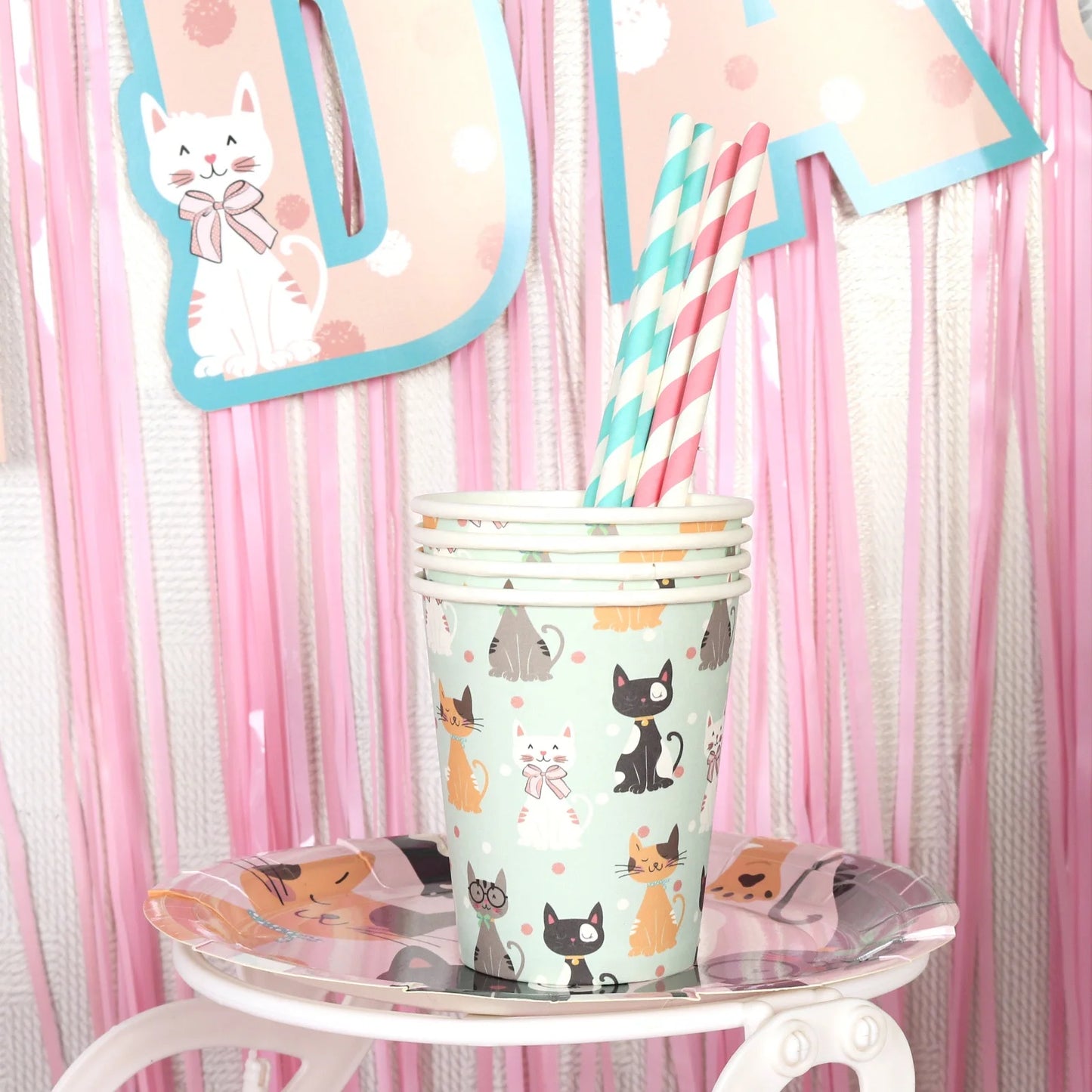 Birthday Party 2 Cat Theme Party Decoration Set Napkin Birthday Party Decoration Cat Birthday Party Supplies