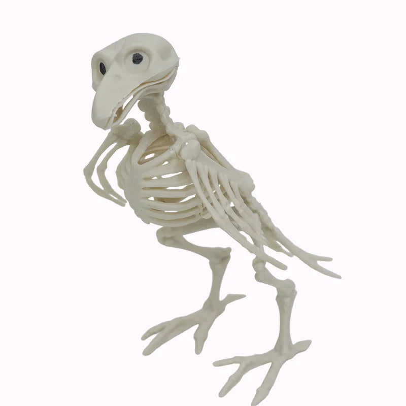 Halloween & Day of the Dead Halloween Skeletons Animals Ornaments Halloween Party Horror Activities Joints Tabletop Props Supplies