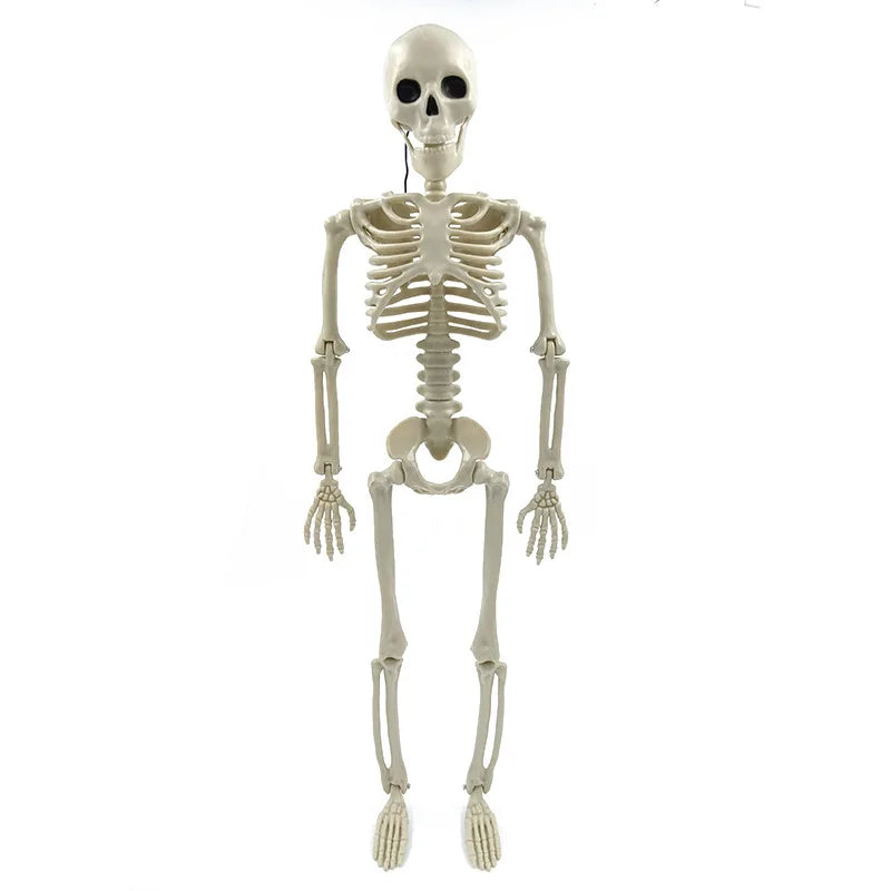 Halloween & Day of the Dead 30 * 8cm Full Body Mini Skeleton with Movable Joints Ghost White Ghost Festival Plastic Skeleton for Haunted Houses