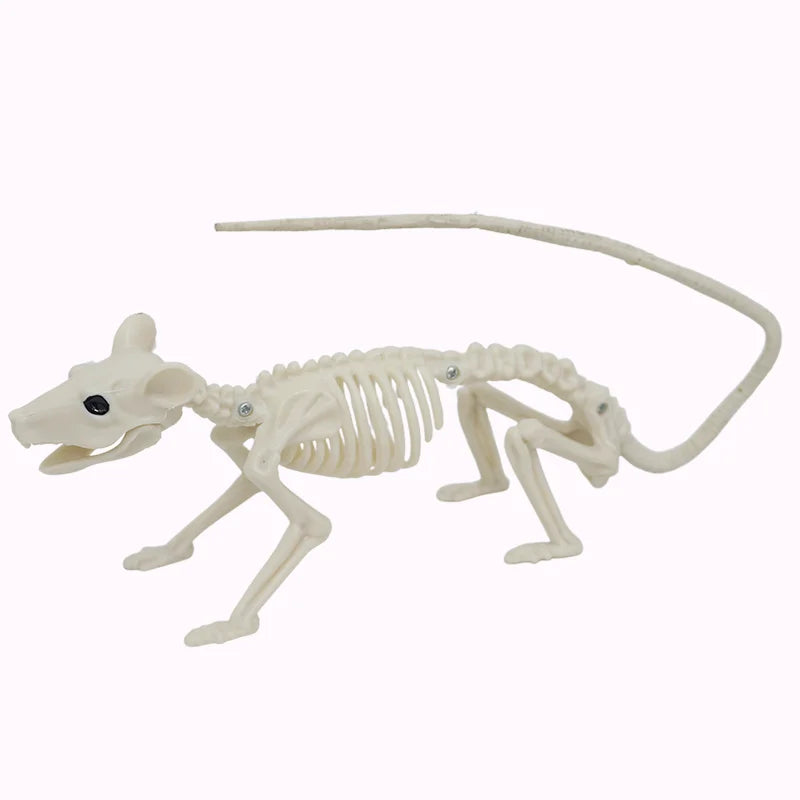 Halloween & Day of the Dead Halloween Skeletons Animals Ornaments Halloween Party Horror Activities Joints Tabletop Props Supplies