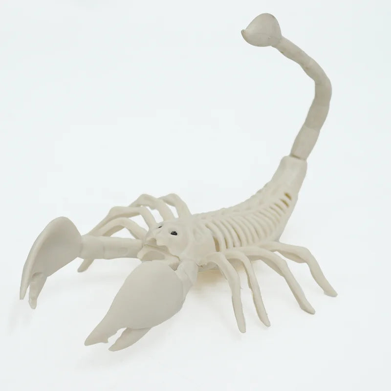 Halloween & Day of the Dead Halloween Skeletons Animals Ornaments Halloween Party Horror Activities Joints Tabletop Props Supplies