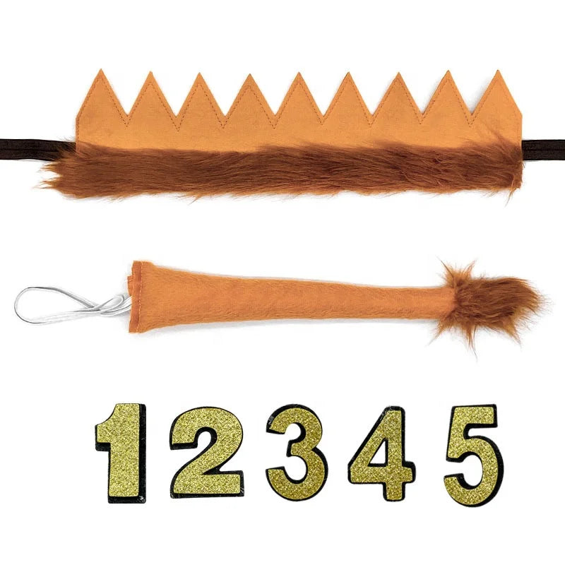 Birthday Party 2 Lion King Crown & Tail Kids 1st Birthday Party Clothing Crown Wildlife Birthday Party Supplies