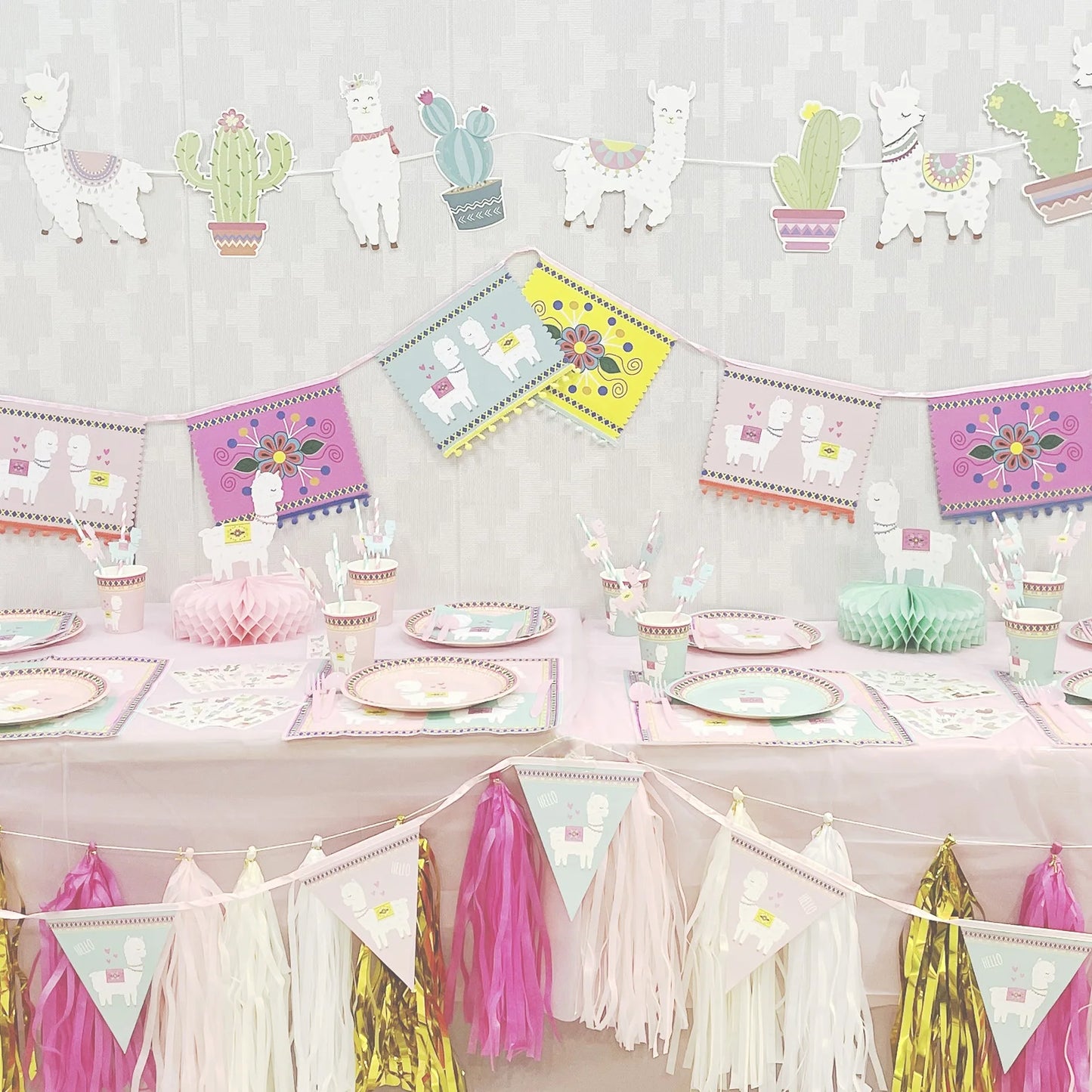 Birthday Party 2 Llama Birthday Party Supplies Front String Camel Themed Flags Birthday Party Supplies 8 Llama Party Supplies Set