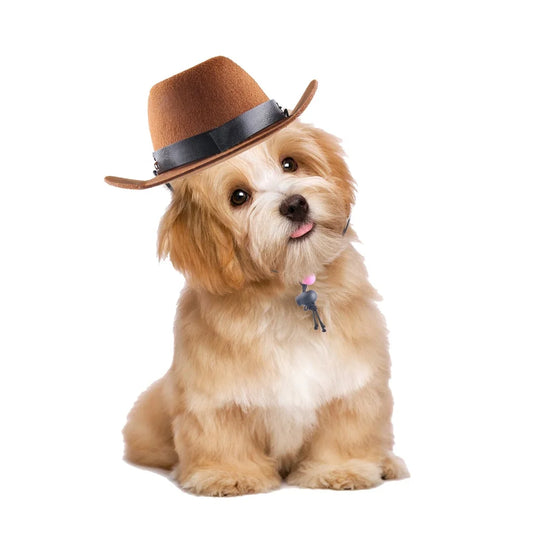 Pet Festival, Party Supplies Pet Clothing Mini Hat Hot Sale Pet Dog Cat Elastic Cowboy Hat