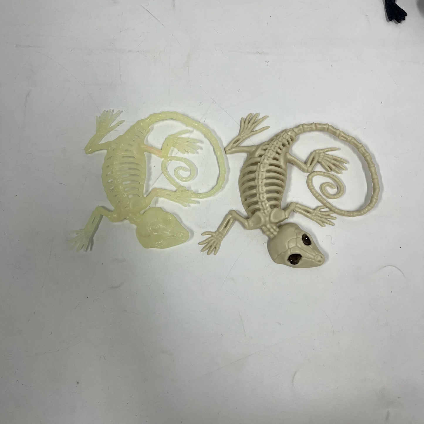 Halloween & Day of the Dead Halloween Skeletons Animals Ornaments Halloween Party Horror Activities Joints Tabletop Props Supplies