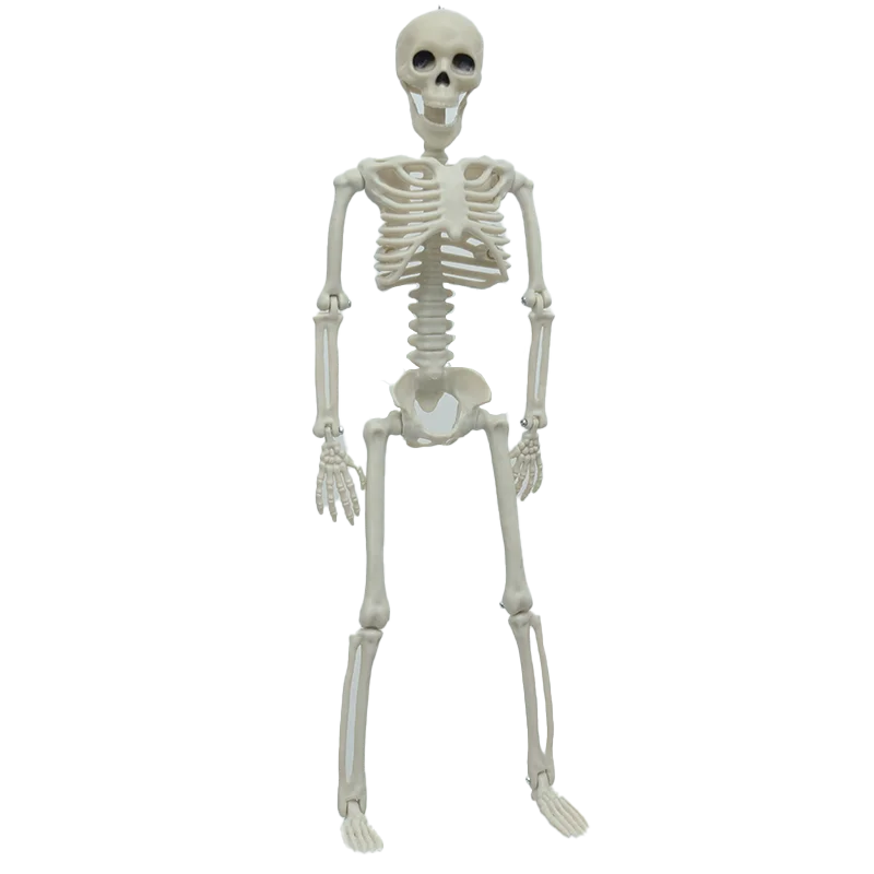 Enfeites de esqueleto para festa de Halloween e Dia dos Mortos, casa mal-assombrada, adereços de plástico para pendurar em corpo inteiro com articulações móveis 