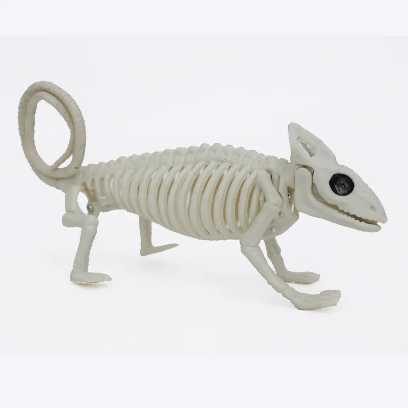 Halloween & Day of the Dead Halloween Skeletons Animals Ornaments Halloween Party Horror Activities Joints Tabletop Props Supplies