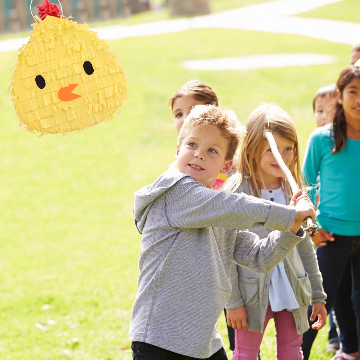 Birthday Party Farm Animal Birthday Multi-Farm Animal Birthday Decorations Farm Theme Horse Pig Chicken Sheep Mini Pinata