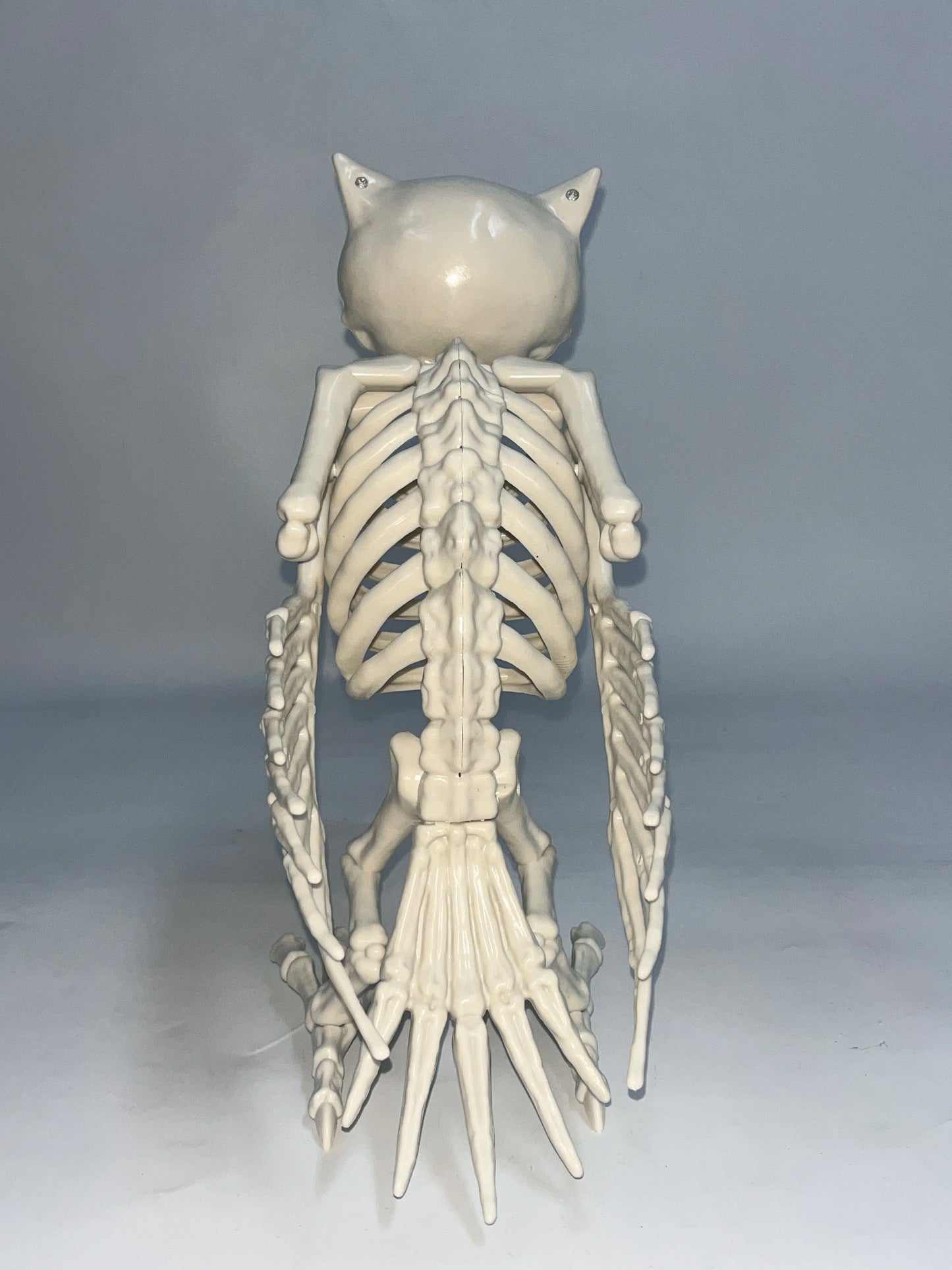 Halloween & Day of the Dead, Creative Halloween Animals Skull Owl Model Props Halloween Party Decorations